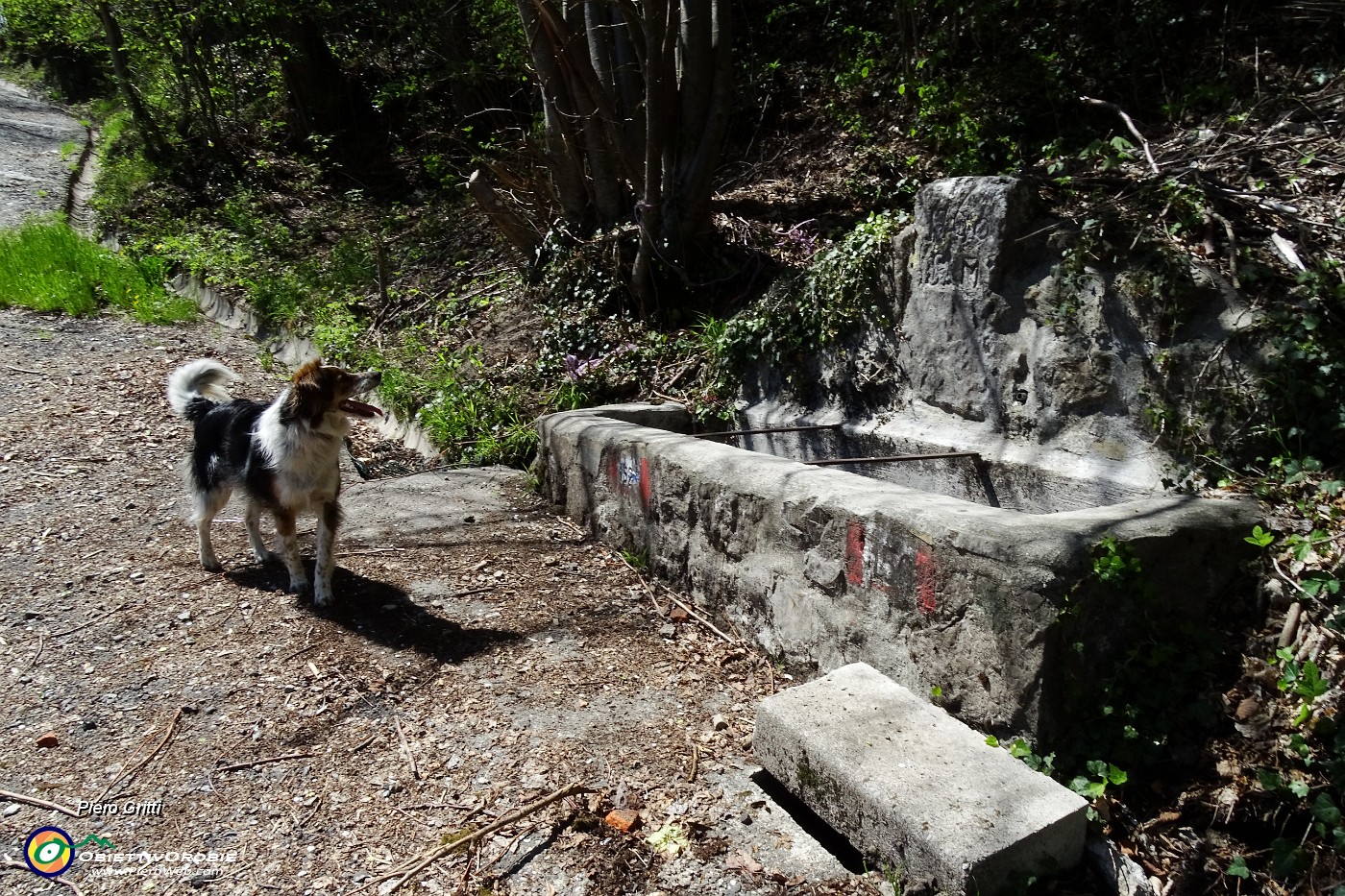 10 Poco sopra un'altra antica fontana...ma senza acqua !.JPG